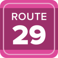 Route 29 Pink - Web Button Route 29 Pink - Web Button